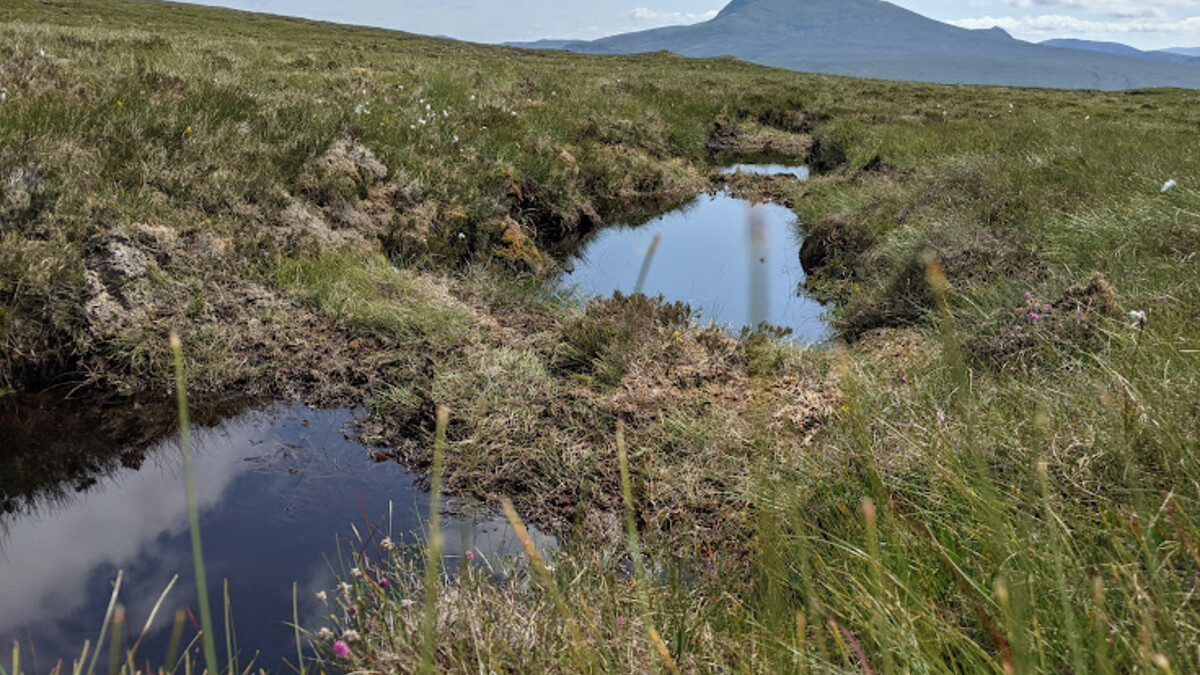 2024 is the year to invest in Scotland’s peatland restoration